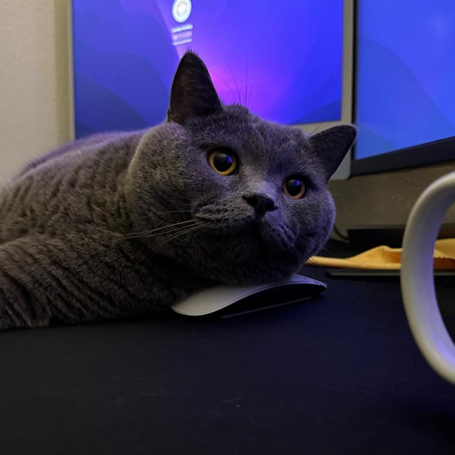 Loki